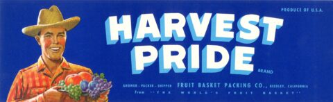 Harvest Pride